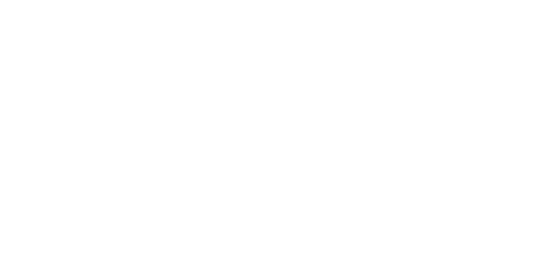 Silber Arrows